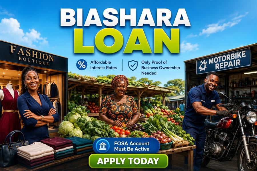 Biashara Loan