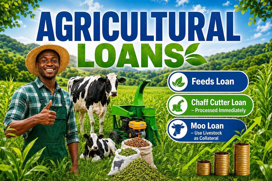 Agricultural Loan